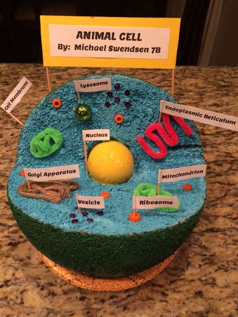 animal cell 3d model styrofoam|animal cell project model labeled.